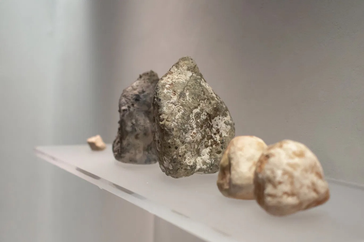 Caterina Morigi - Archeologia della materia